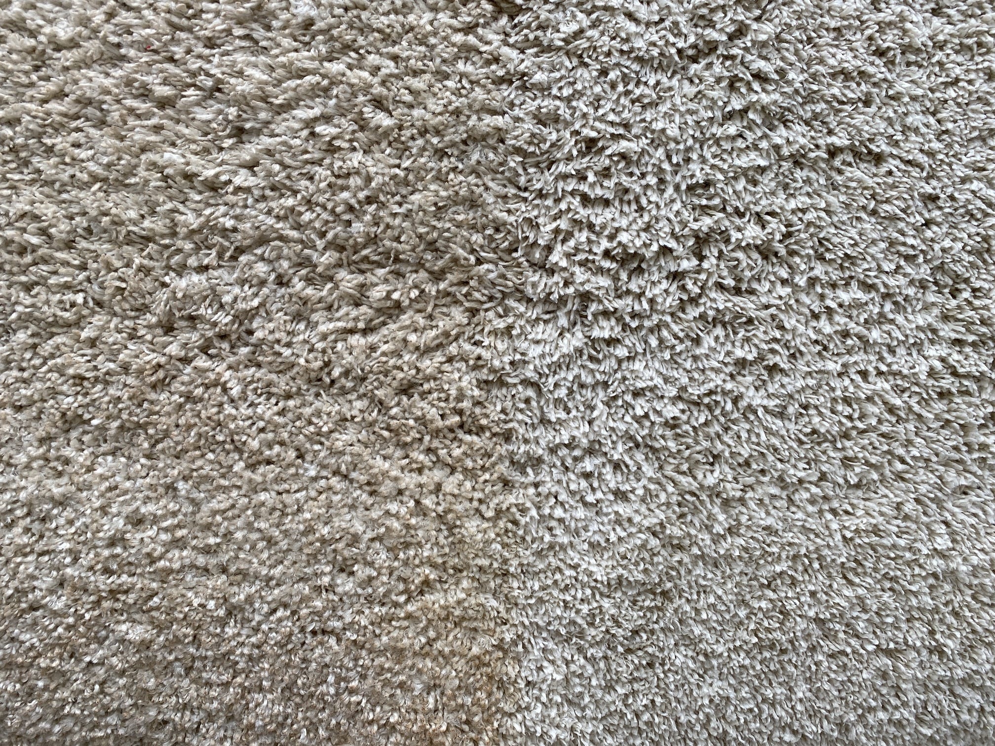 What Is Dry Carpet Cleaning? - Carpet DryClean Inc