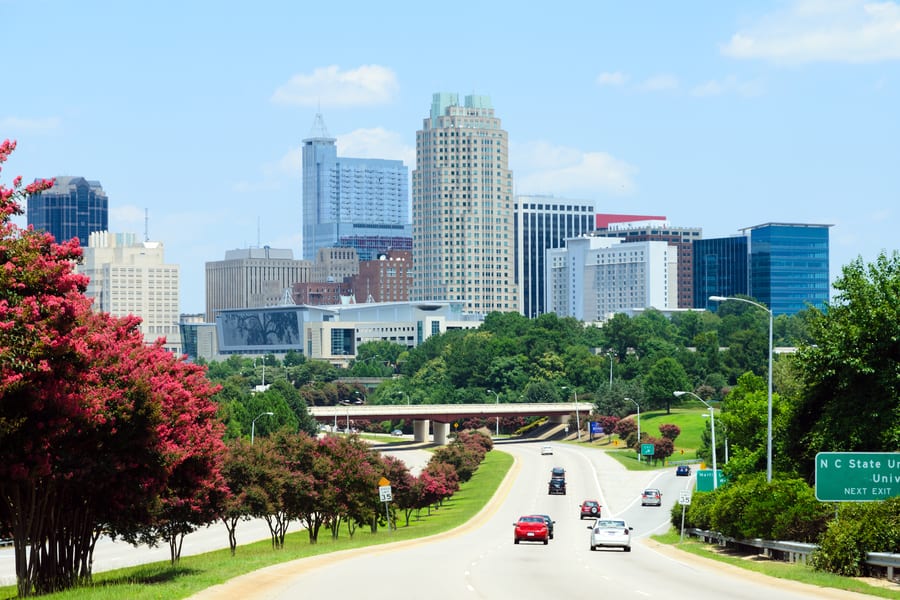 Raleigh Carpet Cleaning