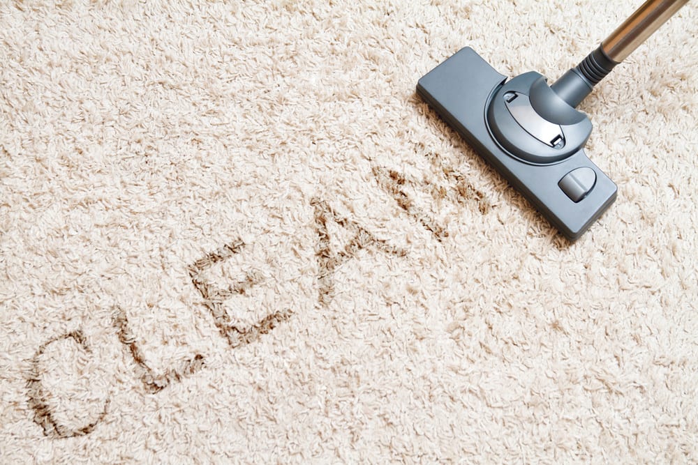 DIY Dry Carpet Cleaning