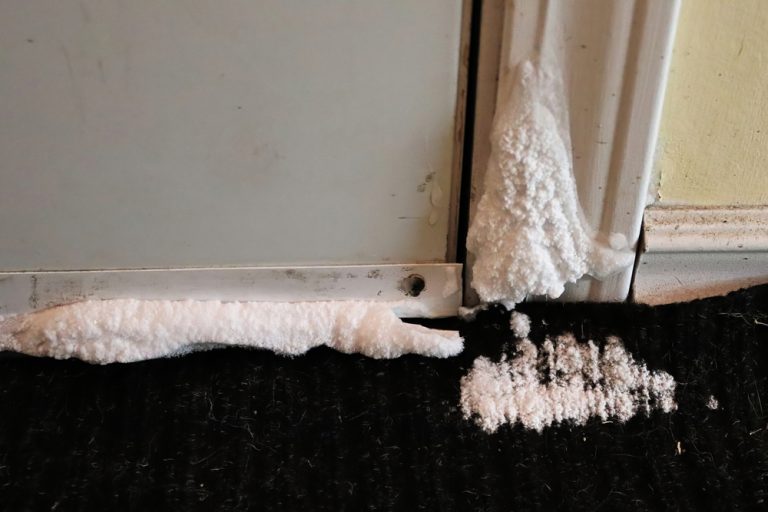 Carpet DryClean Inc Raleigh Carpet Cleaning Service Company