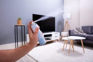 About Carpet Odors