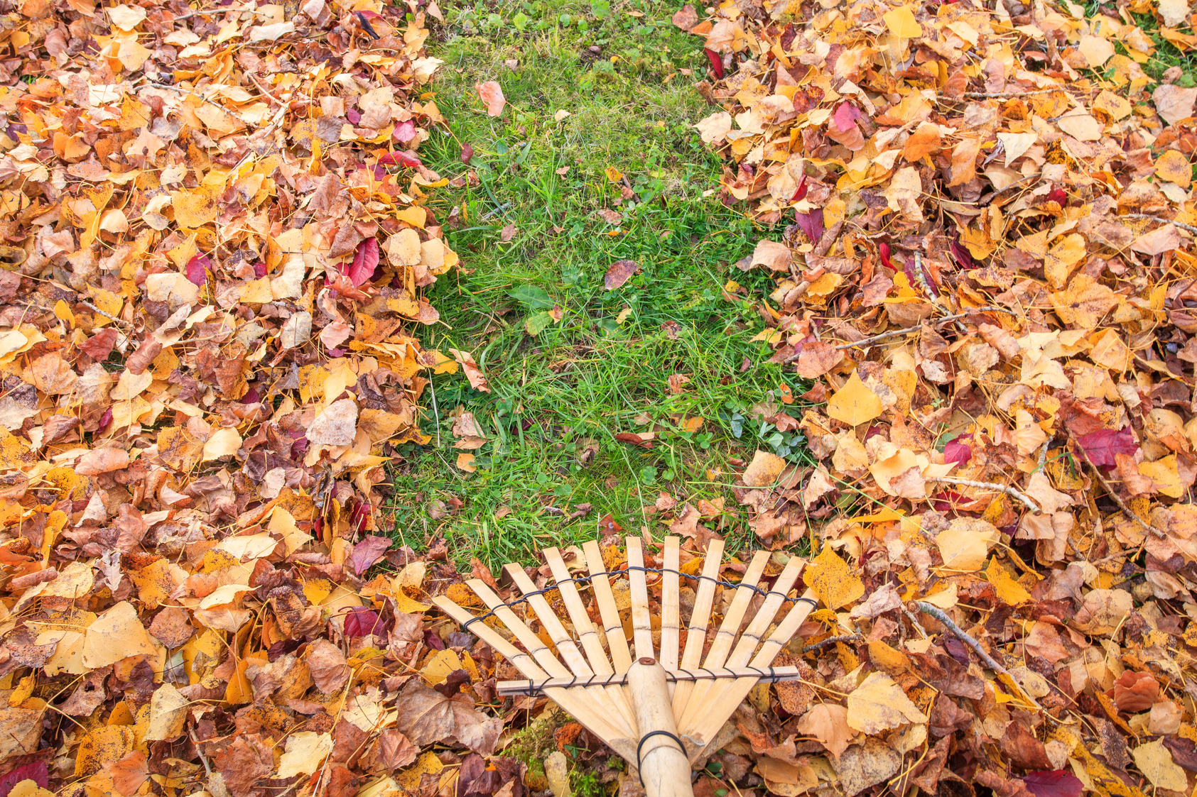 How to Protect Your Carpet in Fall & Winter Months