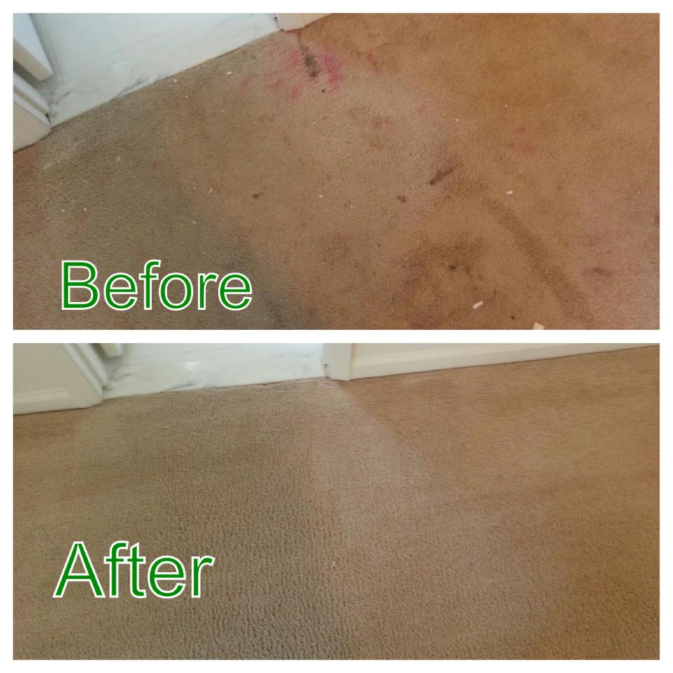 Carpet DryClean Before After 1