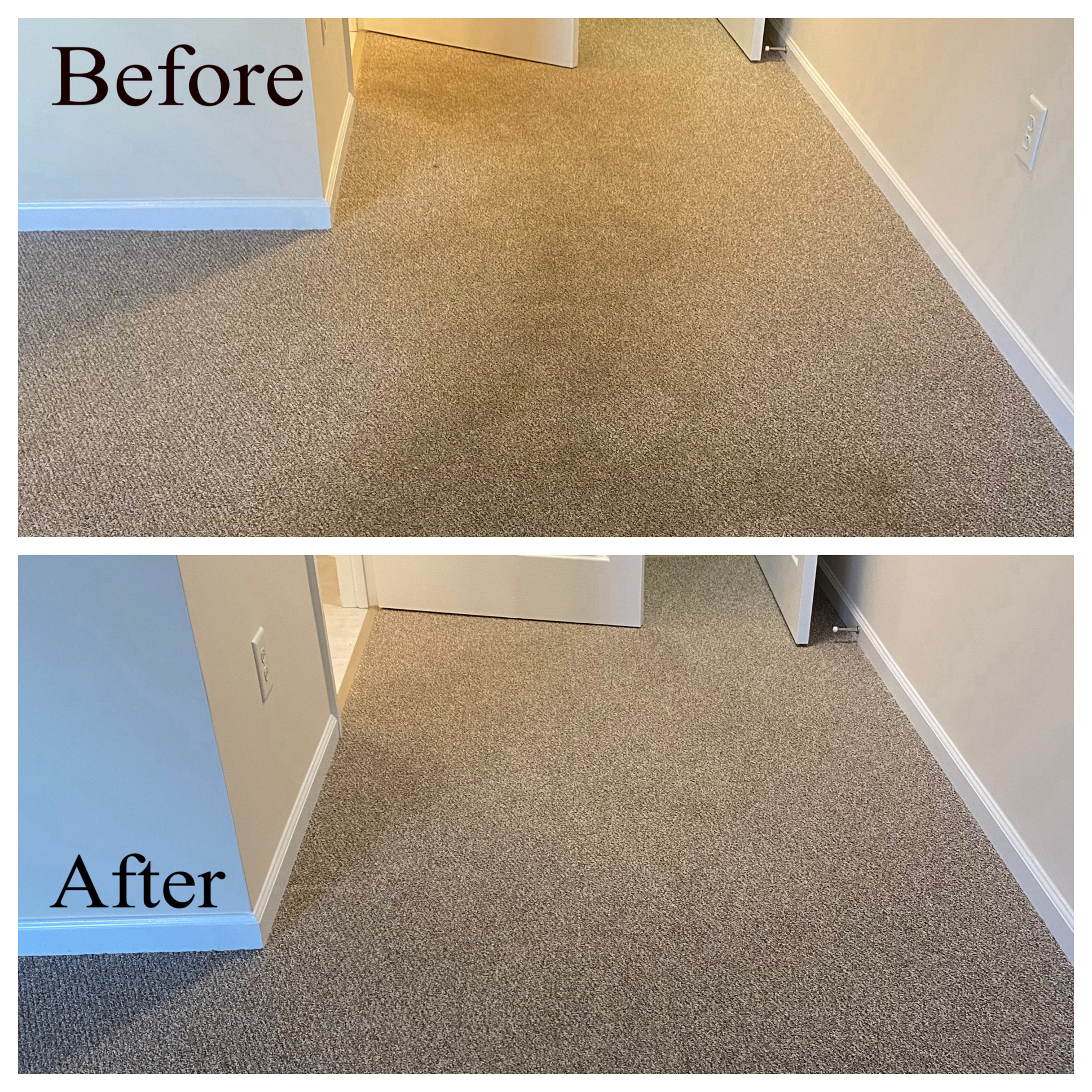 Carpet DryClean Before After 2