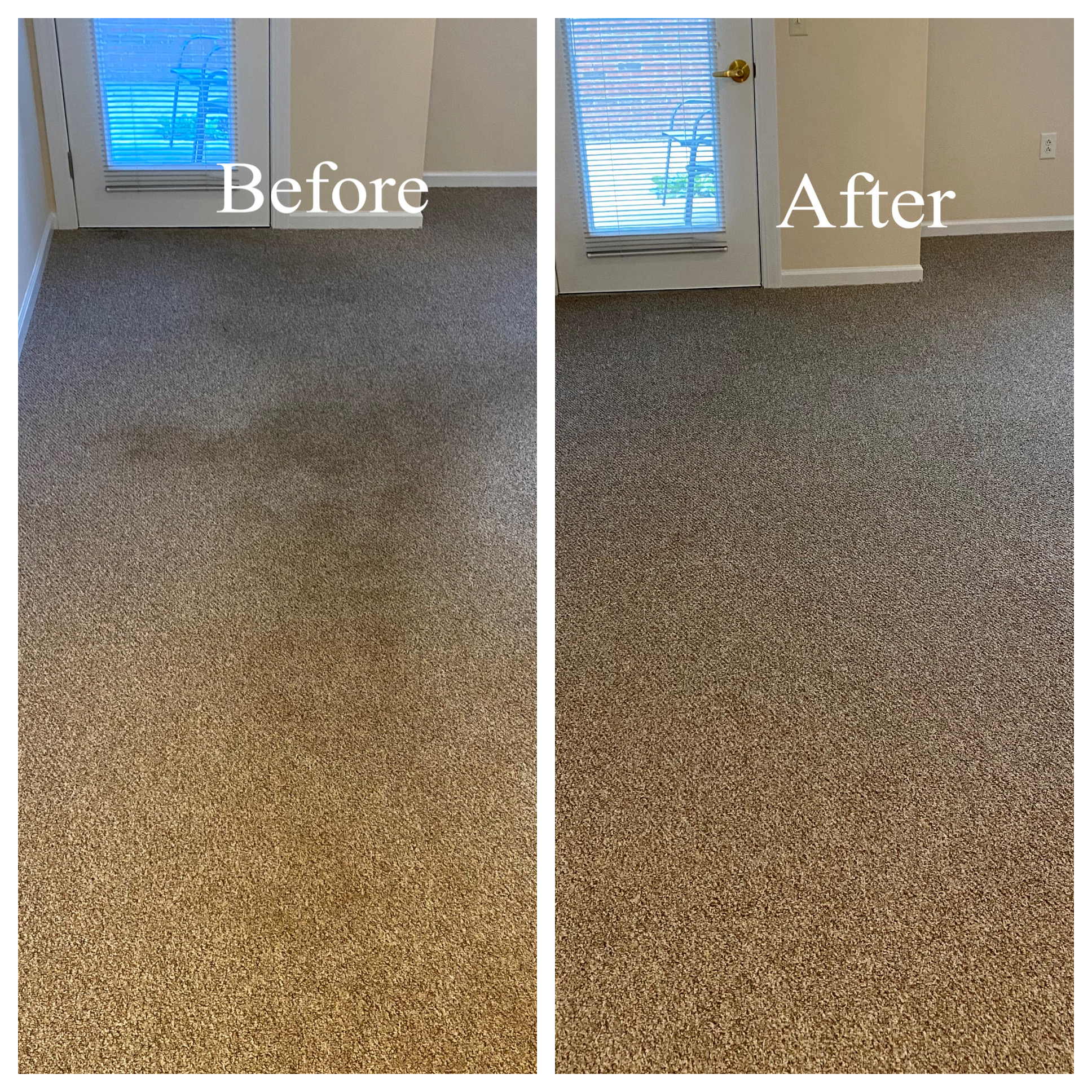 Carpet DryClean Before After 3