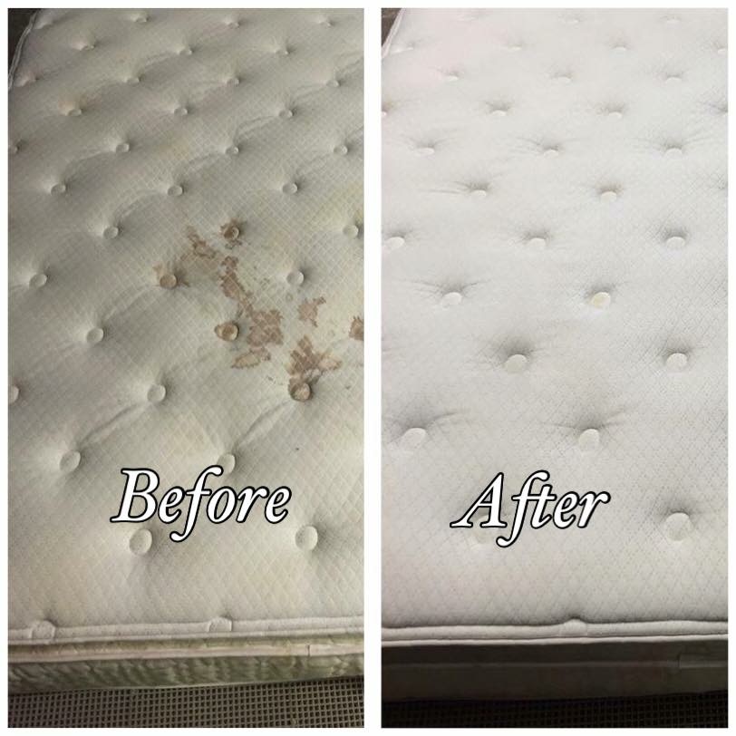 Carpet DryClean Before After 6