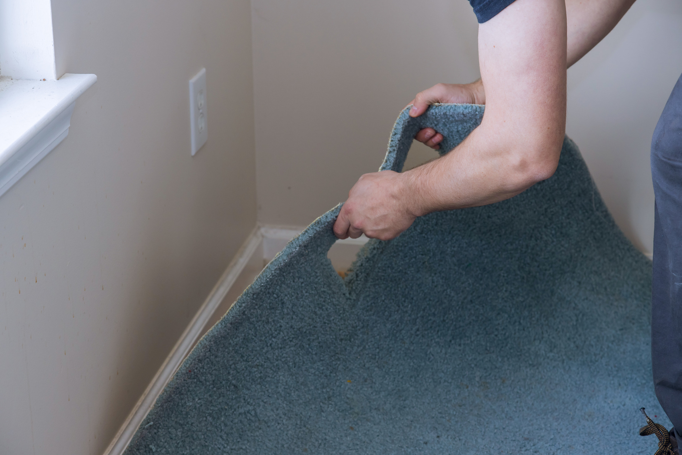 When To Clean, Repair, Or Replace Carpets In Raleigh